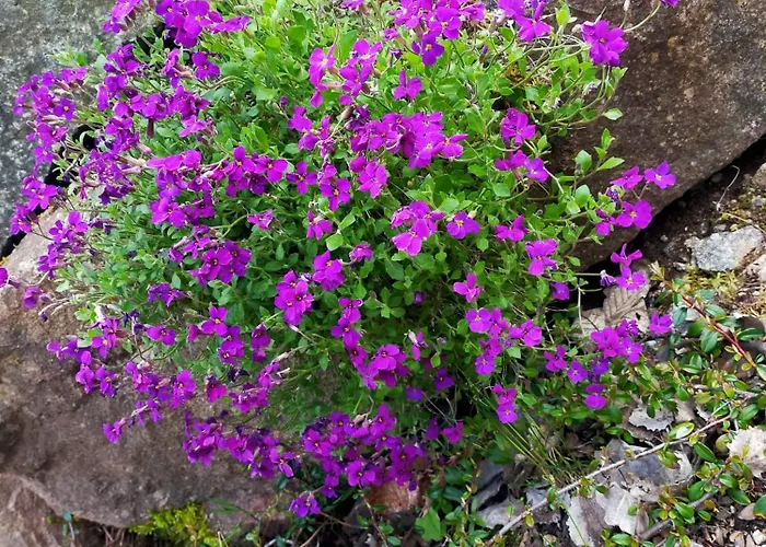 La Grange Des Mios شاليه *